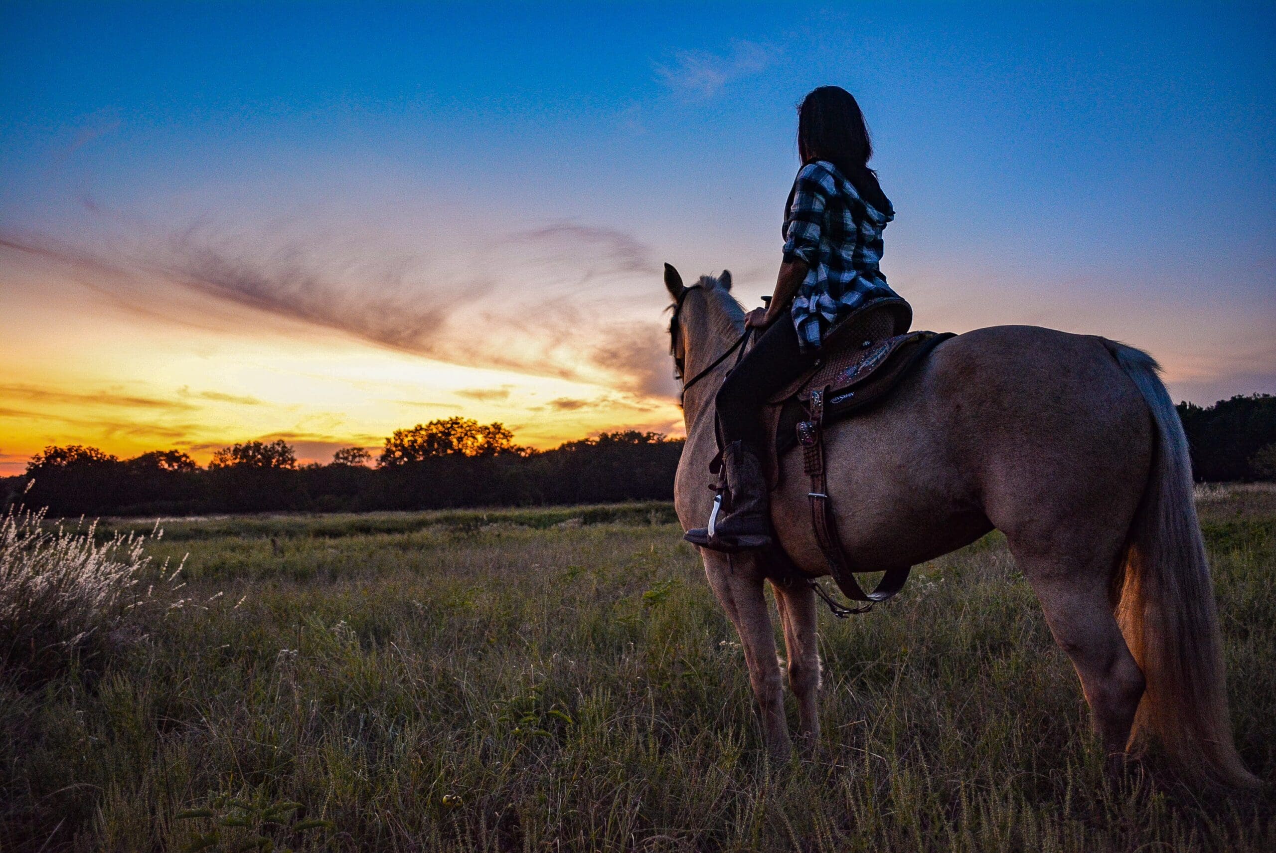 Terms And Conditions