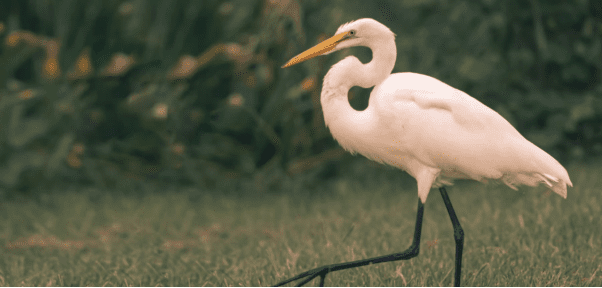 Four children play with water pistols and a beach ball in a park.