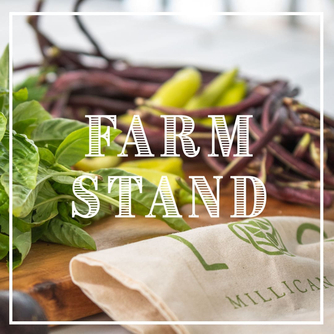 Farm Stand Test