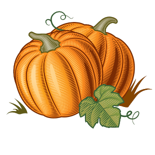 2021 Pumpkin Graphic