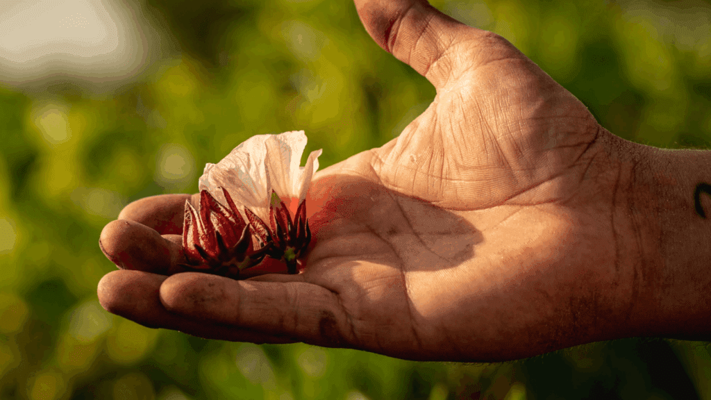 Agriculture