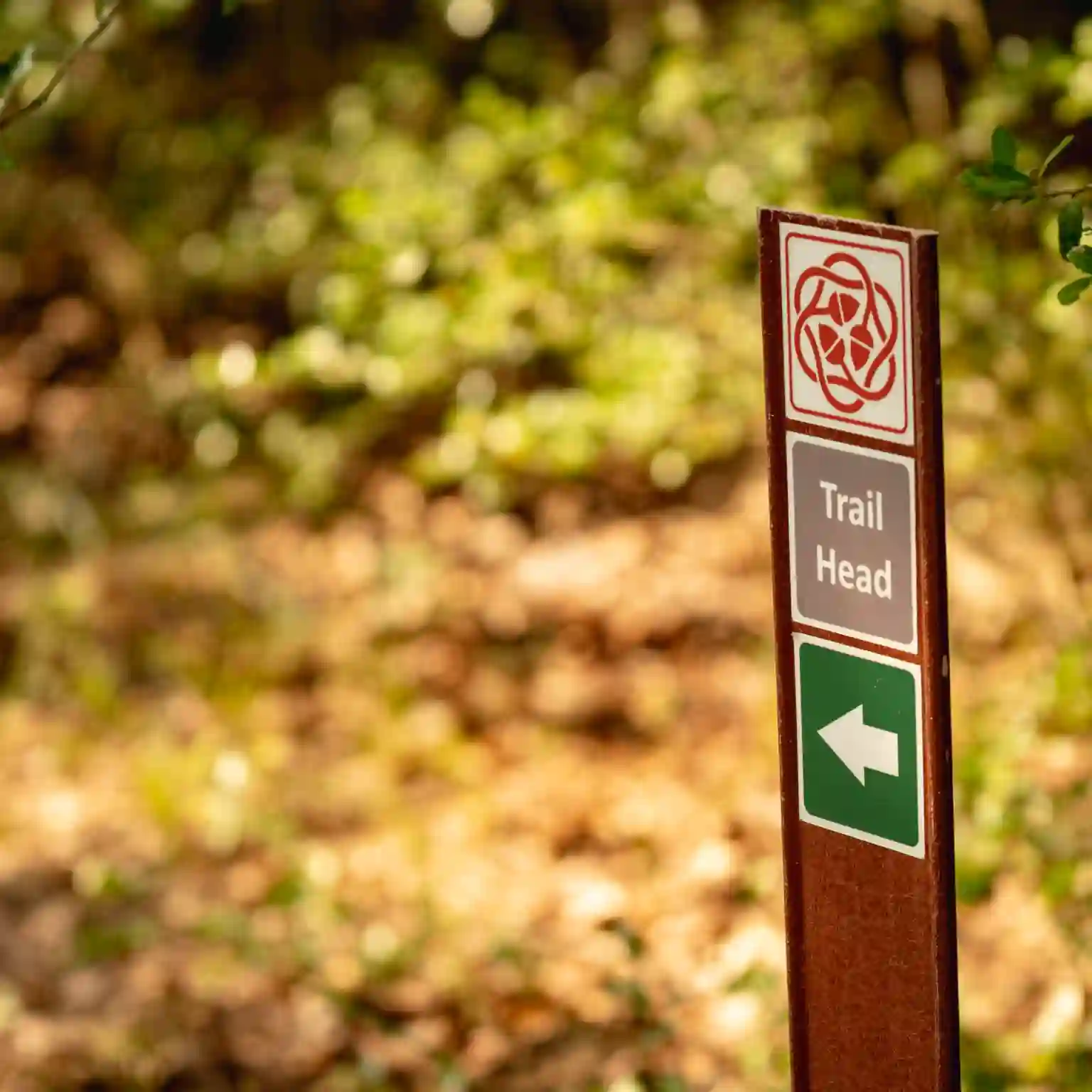 Video or Gallery Title