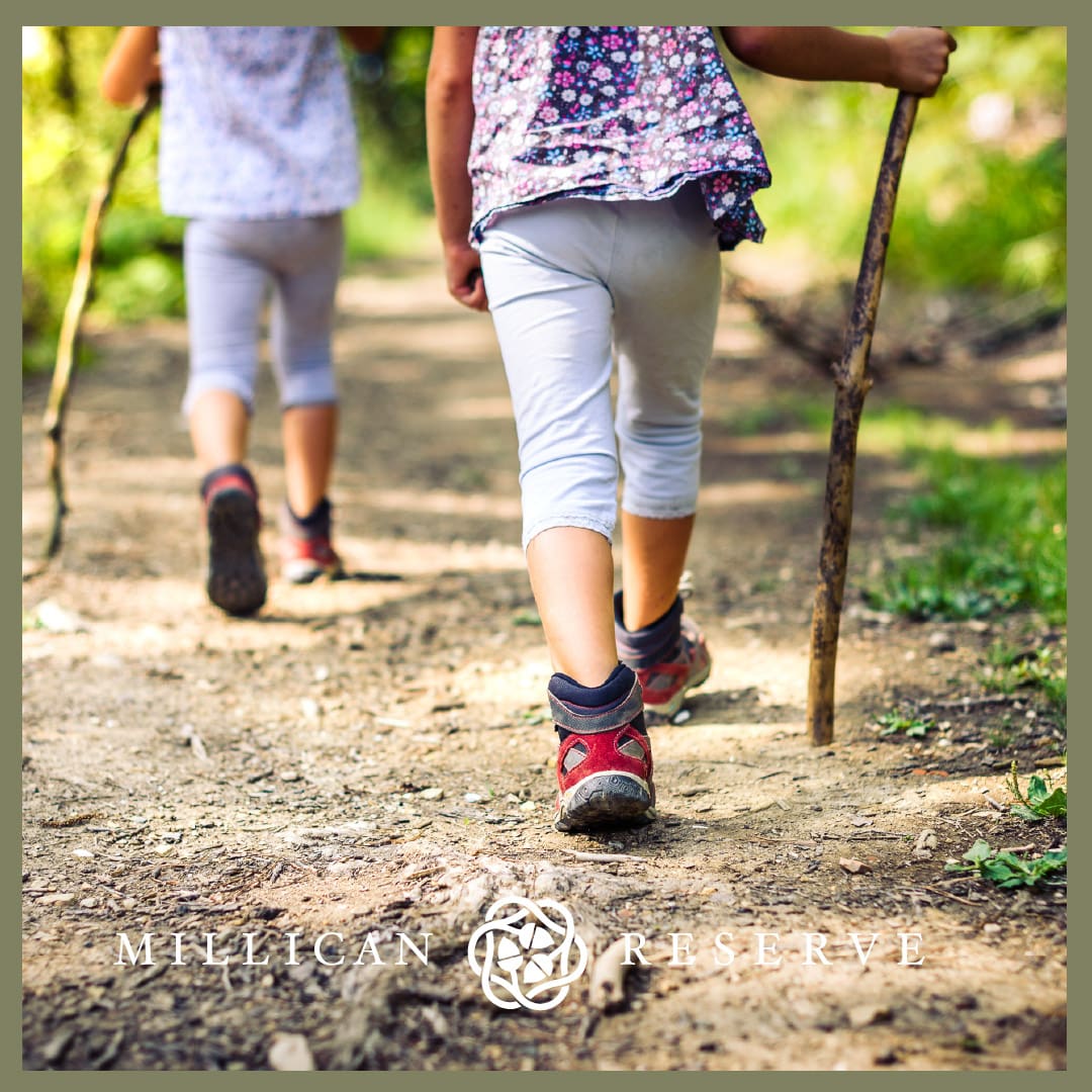 First Day of Winter Hike