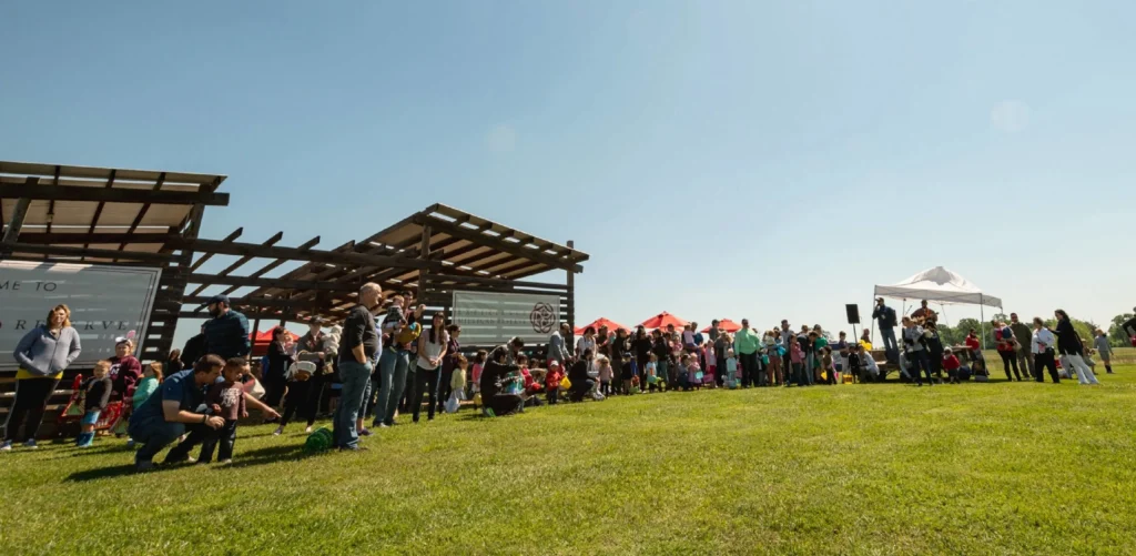 Video or Gallery Title